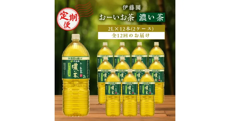 【ふるさと納税】【毎月定期便】伊藤園のお～いお茶 濃い茶2L×12本 全12回【配送不可地域：離島・沖縄県】【4014156】