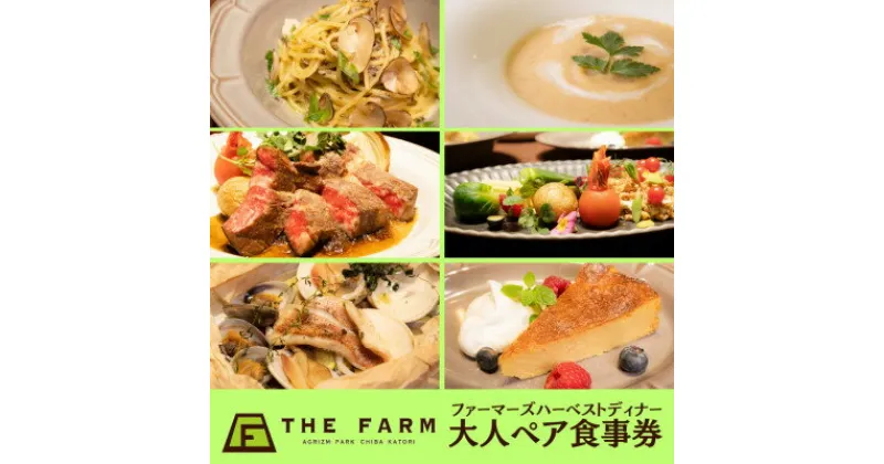 【ふるさと納税】THE FARM CAFE　ファーマーズハーベストディナー　大人ペア食事券【配送不可地域：離島・沖縄県】【1551024】