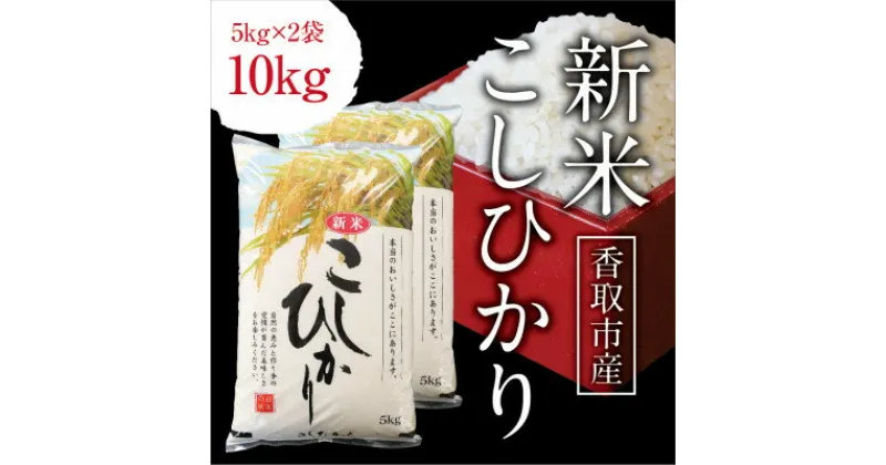 【ふるさと納税】令和6年産　千葉県産コシヒカリ　精米　10kg(5kg×2袋)【配送不可地域：離島・沖縄県】【1552839】