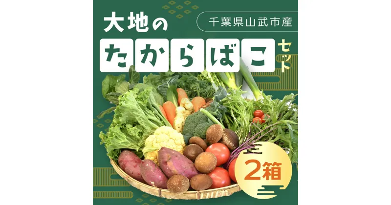 【ふるさと納税】 大地のたからばこセット（2箱） ／ 農産物 野菜 新鮮 旬 送料無料 千葉県 山武市 SMA001