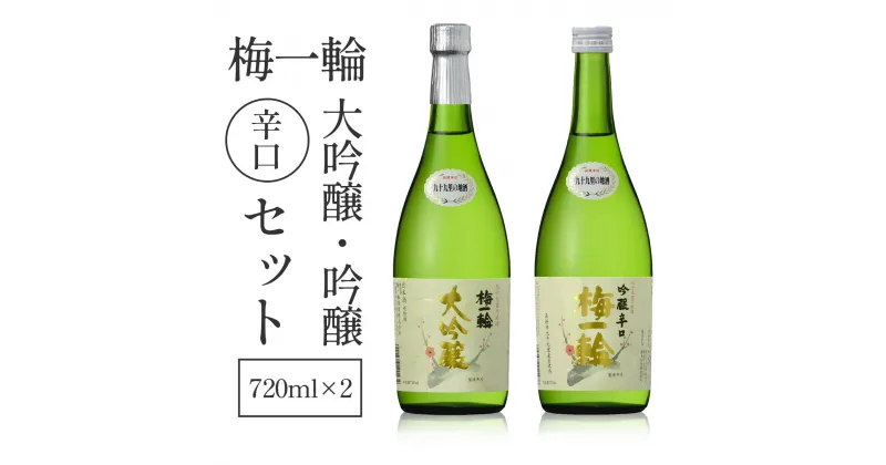 【ふるさと納税】梅一輪　大吟醸・吟醸辛口セット ／ お酒 酒 日本酒 地酒 送料無料 千葉県 山武市 SMC003