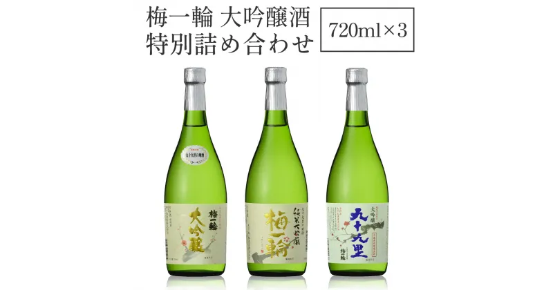 【ふるさと納税】梅一輪酒造　大吟醸酒　特別詰め合わせ ／ お酒 日本酒 地酒 送料無料 千葉県 山武市 SMC002