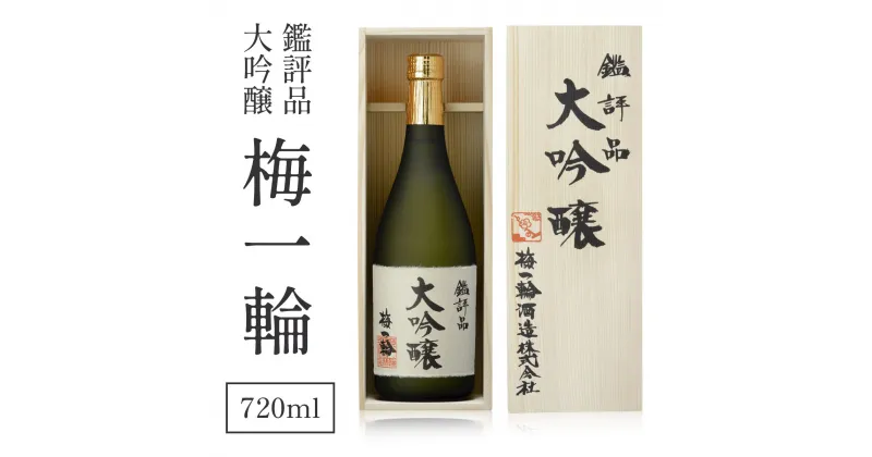 【ふるさと納税】鑑評品大吟醸　梅一輪 ／ お酒 日本酒 地酒 送料無料 千葉県 山武市 SMC001