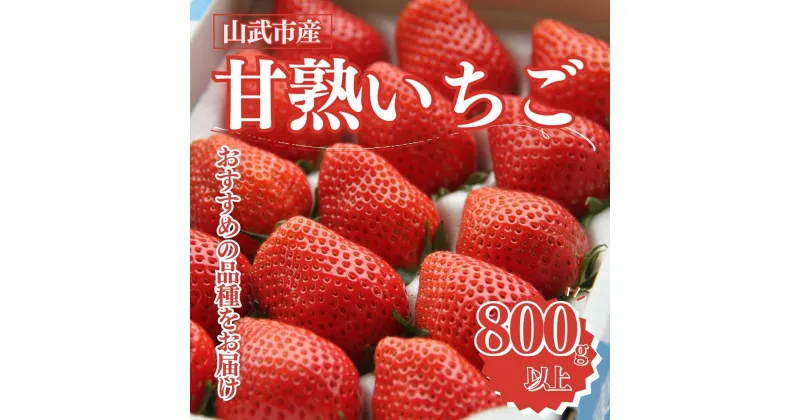 【ふるさと納税】【先行予約2024年12月中旬発送】山武市産 甘熟いちご 800g以上 おすすめの品種をお届け ／ふるさと納税 いちご イチゴ 苺 果物 くだもの フルーツ 旬のくだもの 季節のフルーツ 千葉県 山武市 SMB001