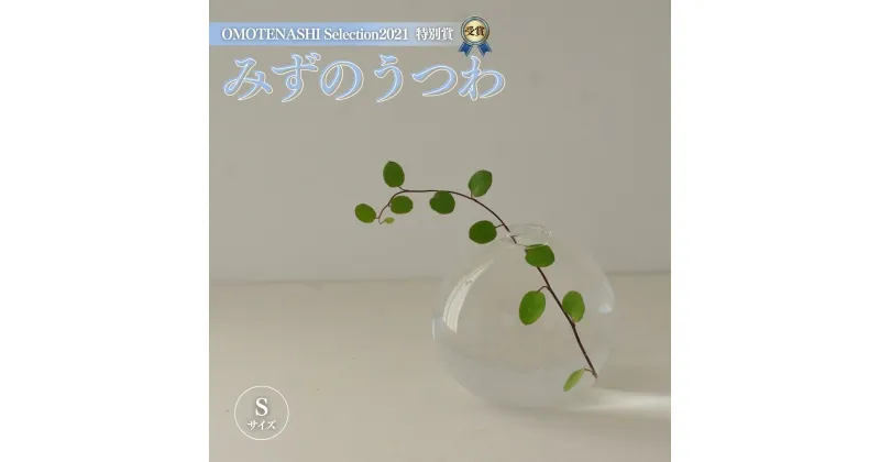 【ふるさと納税】みずのうつわ（花器）Sサイズ ／ 花瓶 吹き ガラス オシャレ 工芸 シンプル 送料無料 千葉県 SMO001