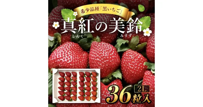 【ふるさと納税】【先行予約/2024年12月配送開始】希少品種 黒いちご 真紅の美鈴 2L 36粒入り／ 真紅の美鈴 苺 粒 濃厚 果汁 希少 しんくのみすず いちご イチゴ 美味しい 贈答 ギフト お取り寄せ 送料無料 千葉県 SMAN001