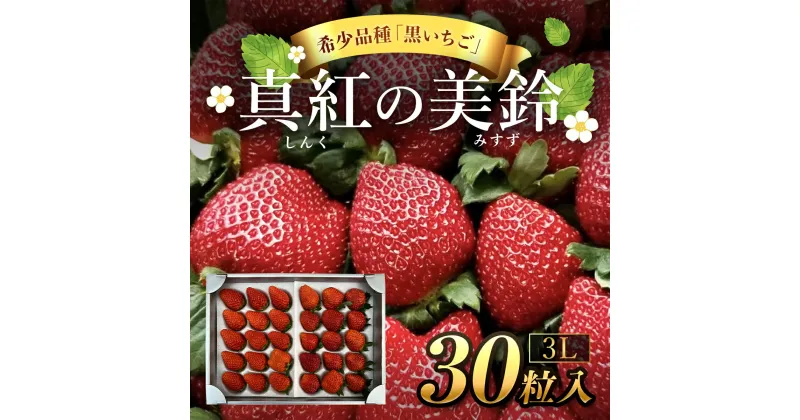 【ふるさと納税】【先行予約/2024年12月配送開始】希少品種 黒いちご 真紅の美鈴 3L30粒入り／ 真紅の美鈴 苺 粒 濃厚 果汁 希少 しんくのみすず いちご イチゴ 美味しい 贈答 ギフト お取り寄せ 送料無料 千葉県 SMAN002