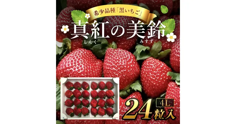 【ふるさと納税】【先行予約/2024年12月配送開始】希少品種 黒いちご 真紅の美鈴 4L24粒入り／ 真紅の美鈴 苺 粒 濃厚 果汁 希少 しんくのみすず いちご イチゴ 美味しい 贈答 ギフト お取り寄せ 送料無料 千葉県 SMAN003