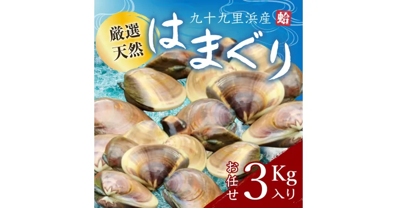 【ふるさと納税】九十九里浜産活天然はまぐりサイズお任せ3kg入り/ ハマグリ はまぐり 蛤 貝 魚貝類 魚介類 天然 3キロ 千葉県 山武市 SMBB002