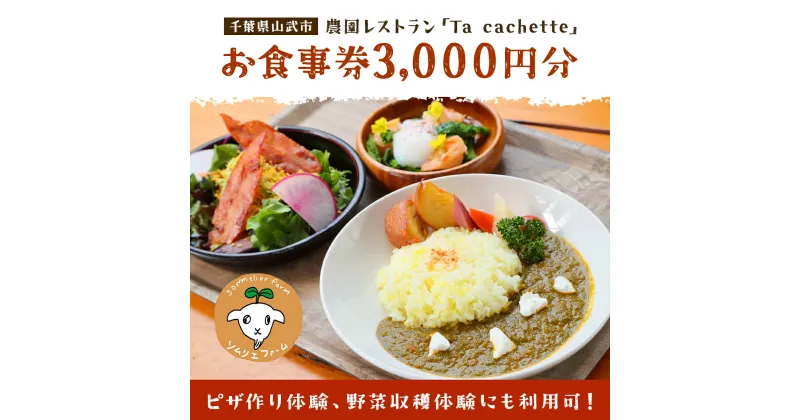 【ふるさと納税】 ピザ作り体験、野菜収穫体験にも利用可！ 農園レストラン「Ta cachette」お食事券3,000円分 ／ 体験 チケット 野菜 収獲 ピザ 利用券 千葉県 山武市 SMBP001