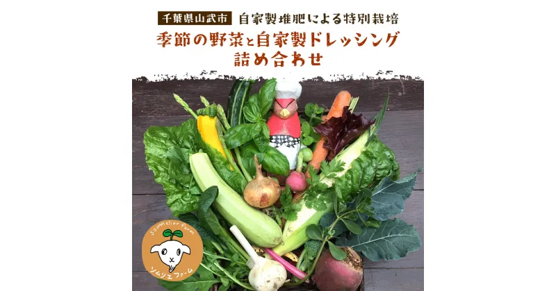 【ふるさと納税】 【自家製堆肥による特別栽培】季節の野菜と自家製ドレッシング詰め合わせ ／ 野菜 やさい ドレッシング 自家製 千葉県 山武市 SMBP002