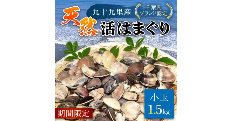 【ふるさと納税】＜先行受付/2025年5月より配送＞【千葉県ブランド認定】天然活はまぐり（小玉）《1.5kg》／ふるさと納税 はまぐり ハマグリ 蛤 貝類 魚介 魚介類 魚貝類 海鮮 お吸い物 パスタ パエリア お歳暮 贈答 お祝い プレゼント 千葉県 山武市 SMBO001