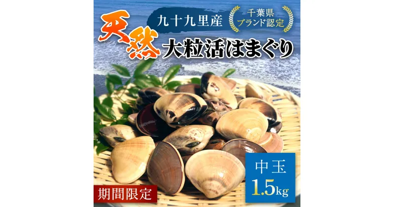 【ふるさと納税】【千葉県ブランド認定】天然大粒活はまぐり（中玉）《1.5kg》／ふるさと納税 はまぐり ハマグリ 蛤 貝類 魚介 海鮮 お吸い物 パスタ パエリア お歳暮 贈答 お祝い 千葉県 山武市 SMBO002