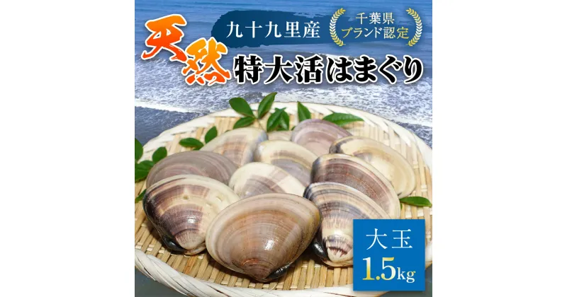 【ふるさと納税】【千葉県ブランド認定】天然特大活はまぐり《1.5kg》／ふるさと納税 はまぐり ハマグリ 蛤 貝類 魚介 海鮮 お吸い物 パスタ パエリア お歳暮 贈答 お祝い 千葉県 山武市 SMBO003