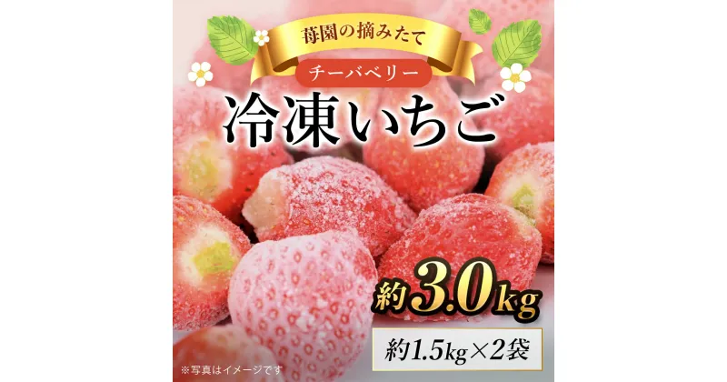 【ふるさと納税】【希少品種】冷凍いちご(チーバベリー)約3kg SMAN011 / フルーツ くだもの 果物 いちご イチゴ 苺 チーバベリー 希少品種 冷凍 ジャム スムージー デザート お菓子作り 山武市 千葉県