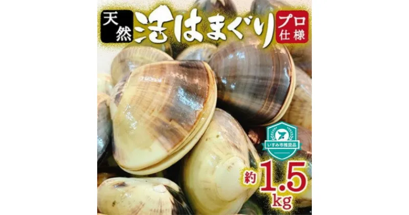 【ふるさと納税】 天然 はまぐり 約1.5kg ( 千葉県産 ) _ 蛤 ハマグリ 魚貝 魚介 海鮮 貝 出汁 だし プロ仕様 人気 送料無料 【配送不可地域：離島・沖縄県】【1306034】