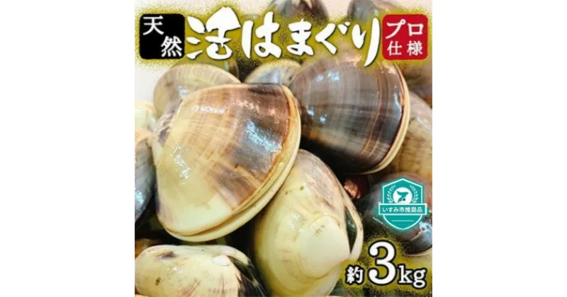 【ふるさと納税】 天然 はまぐり 約3kg ( 千葉県産 ) _ 蛤 ハマグリ 魚貝 魚介 海鮮 貝 出汁 だし プロ仕様 人気 送料無料 【配送不可地域：離島・沖縄県】【1306039】