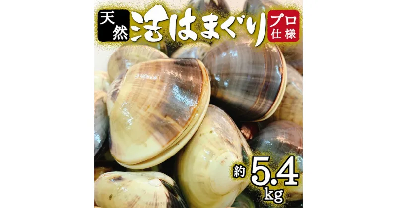 【ふるさと納税】プロも認める 活はまぐり 国産 天然 約5.4kg 千葉県 九十九里産 _ 蛤 ハマグリ 魚貝 魚介 海鮮 貝 出汁 だし プロ仕様 人気 送料無料 【配送不可地域：離島・沖縄県】【1226356】