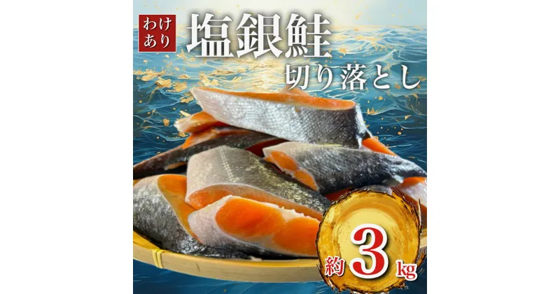 【ふるさと納税】【 訳あり 】 チリ産 定塩 塩銀鮭 切り落とし 端材 (約3kg) 鮭 さけ サケ シャケ 魚 お弁当 おかず 冷凍 人気 海鮮 【配送不可地域：離島】【1389616】