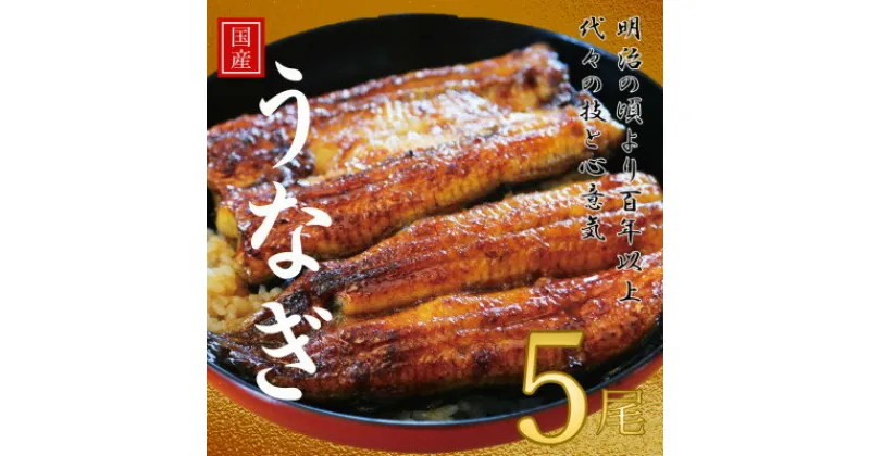 【ふるさと納税】鰻の老舗　千葉県いすみ市藤井のうなぎ白焼き(5匹)【配送不可地域：離島・沖縄県】【1391284】