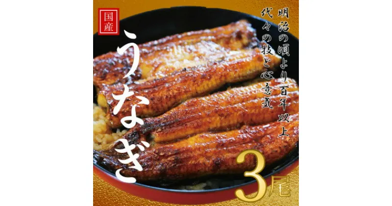 【ふるさと納税】鰻の老舗　千葉県いすみ市藤井のうなぎ白焼き(3匹)【配送不可地域：離島・沖縄県】【1391298】