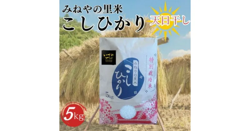 【ふるさと納税】【数量限定】令和6年産　みねやの里米　こしひかり(精米)　5Kg【1459711】