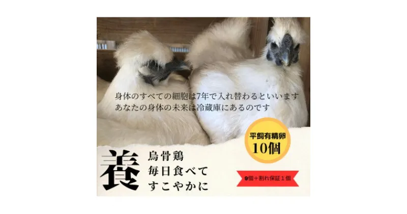 【ふるさと納税】庭先養鶏いすみケンコーファームが烏骨鶏の有精卵10個を心を込めて大切なあなたへお届けいたします【配送不可地域：離島】【1455517】