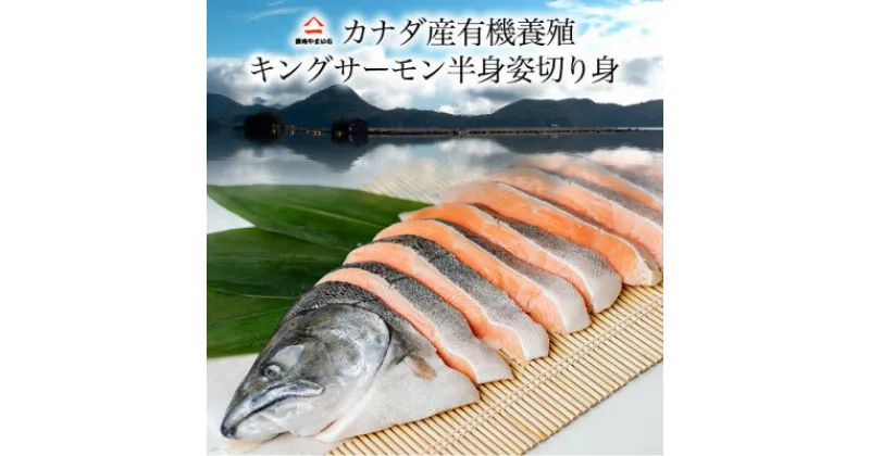 【ふるさと納税】カナダ産キングサーモン半身姿切身 甘塩 1.6kg【配送不可地域：離島】【1461697】