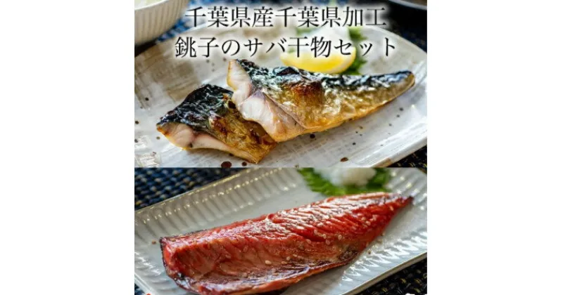 【ふるさと納税】さばの干物8枚セット(文化干し4枚+味醂干し4枚)【配送不可地域：離島】【1461698】