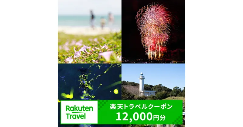 【ふるさと納税】千葉県いすみ市の対象施設で使える楽天トラベルクーポン 寄付額40,000円（クーポン額12,000円）