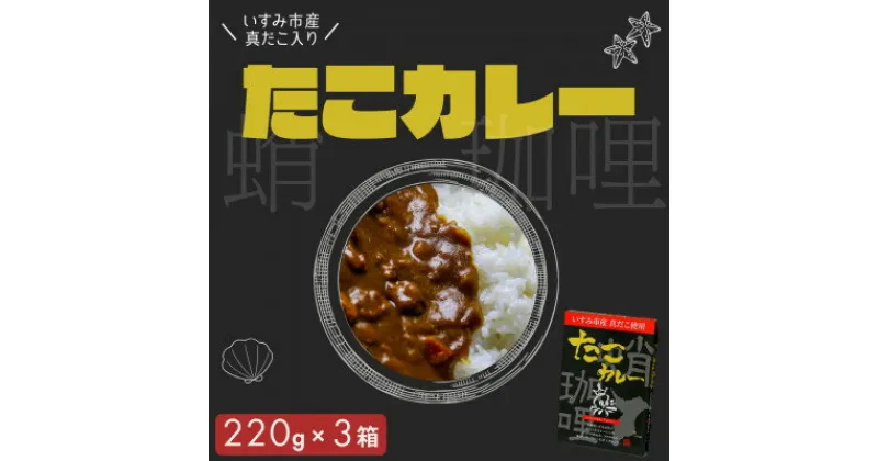 【ふるさと納税】たこカレー【1539853】