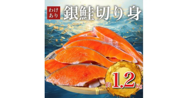 【ふるさと納税】B級銀鮭切り身(打ち身、不揃い、色飛び)約1.2kg【配送不可地域：離島】【1541277】