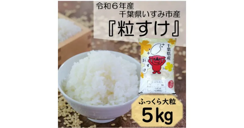 【ふるさと納税】【令和6年産米】　ふっくら大粒　千葉県いすみ市産粒すけ　精米5kg【1546628】