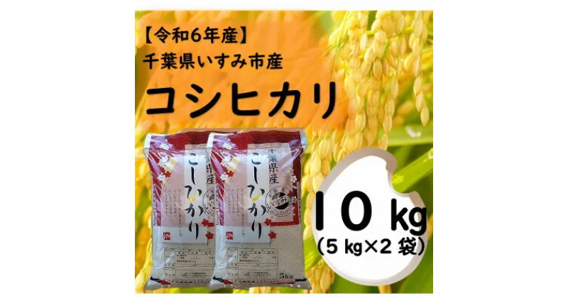 【ふるさと納税】【令和6年産米】　千葉県いすみ市産　コシヒカリ精米10kg(5kg×2袋)【1546629】