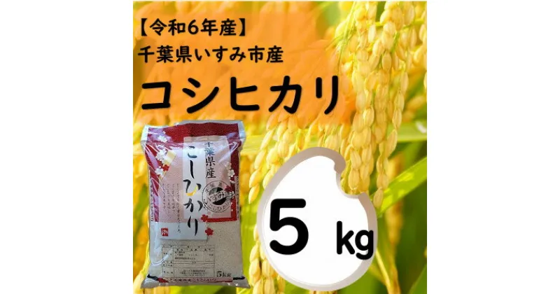 【ふるさと納税】【令和6年産米】　千葉県いすみ市産　コシヒカリ精米5kg【1546630】