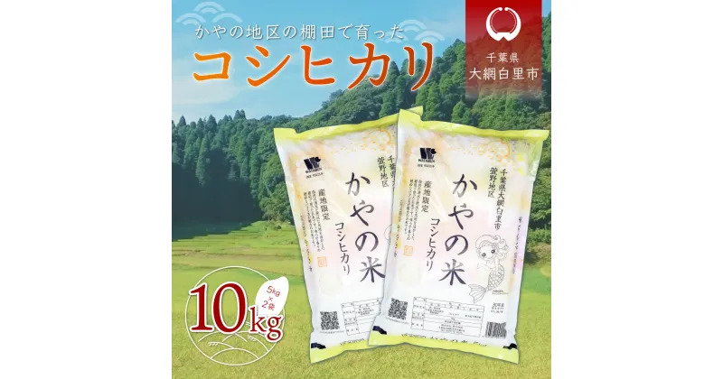 【ふるさと納税】【新米】令和6年産 大網白里市萱野地区産「コシヒカリ」10kg（5kg×2袋） お米 10kg 千葉県産 大網白里市 コシヒカリ 米 精米 こめ 送料無料 A001