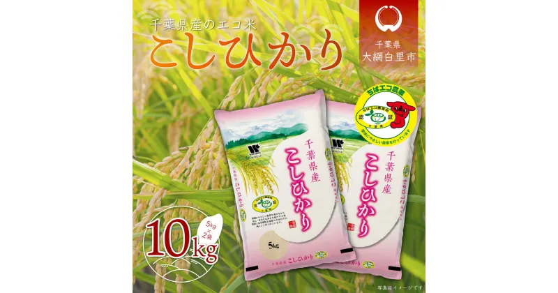 【ふるさと納税】【新米】令和6年産 千葉県産エコ米「コシヒカリ」10kg（5kg×2袋） お米 10kg 千葉県産 大網白里市 コシヒカリ エコ米 米 精米 こめ 送料無料 A002