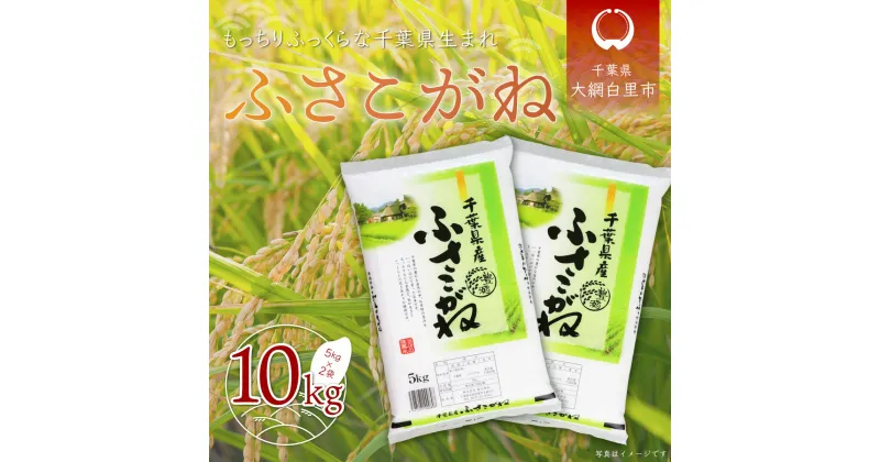 【ふるさと納税】【新米】令和6年産千葉県産「ふさこがね」10kg（5kg×2袋） お米 10kg 千葉県産 大網白里市 ふさこがね 米 精米 こめ 送料無料 A004