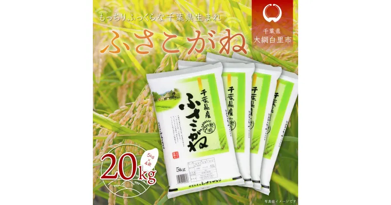 【ふるさと納税】【新米】令和6年産 千葉県産「ふさこがね」20kg（5kg×4袋） お米 20kg 千葉県産 大網白里市 ふさこがね 米 精米 こめ 送料無料 A005