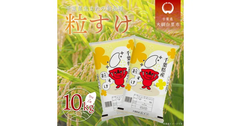 【ふるさと納税】【新米】 令和6年産 千葉県産「粒すけ」10kg（5kg×2袋） お米 10kg 千葉県産 大網白里市 粒すけ 米 精米 こめ 送料無料 A006