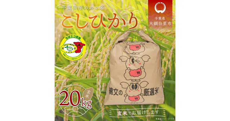 【ふるさと納税】【新米】令和6年産 千葉県産エコ米「コシヒカリ」玄米20kg（20kg×1袋） お米 20kg 千葉県産 大網白里市 コシヒカリ エコ米 米 玄米 こめ 送料無料 A008