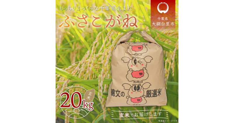 【ふるさと納税】【新米】令和6年産 千葉県産「ふさこがね」玄米20kg（20kg×1袋） お米 20kg 千葉県産 大網白里市 ふさこがね 米 玄米 こめ 送料無料 A009