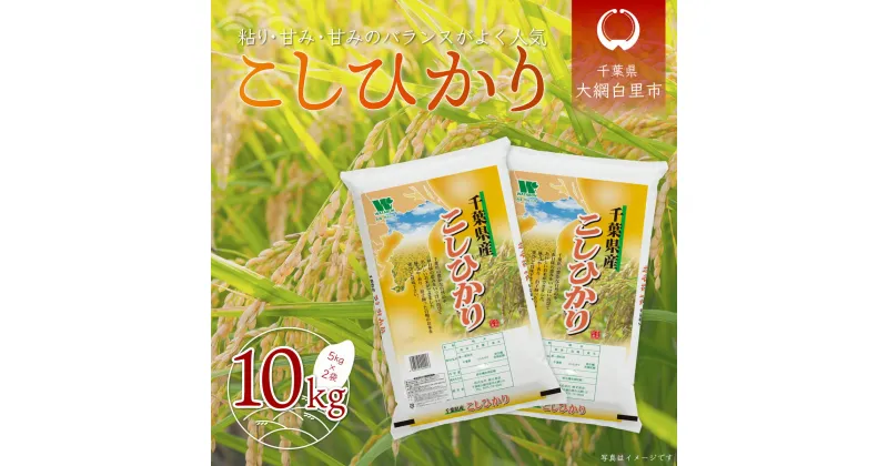 【ふるさと納税】【新米】令和6年産 千葉県産「コシヒカリ」10kg（5kg×2袋） お米 10kg 千葉県産 大網白里市 コシヒカリ 米 精米 こめ 送料無料 A011