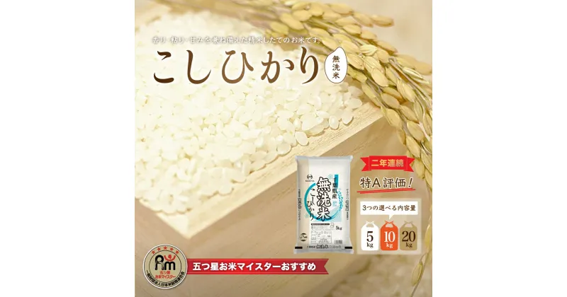 【ふるさと納税】【新米】令和6年産 2年連続特A評価!千葉県産コシヒカリ 選べる5kg/10kg/20kg 無洗米（5kg×1袋/2袋/4袋） 無洗米 5キロ 10キロ 20キロ ふるさと納税 米 千葉県産 大網白里市 コシヒカリ お米 こめ 送料無料