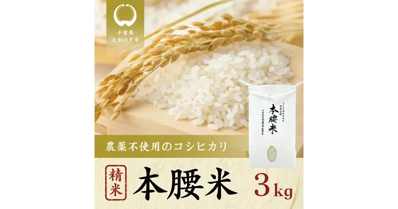 【ふるさと納税】【新米】令和6年産 本腰米3kg 精米 千葉県産コシヒカリ 農薬不使用 お米 3kg 千葉県産 大網白里市 コシヒカリ 農薬不使用 米 精米 こめ 送料無料 F001