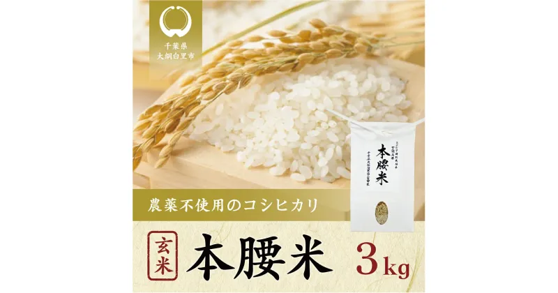 【ふるさと納税】【新米】令和6年産 本腰米3kg 玄米 千葉県産コシヒカリ 農薬不使用 お米 3kg 千葉県産 大網白里市 コシヒカリ 農薬不使用 米 玄米 こめ 送料無料 F004