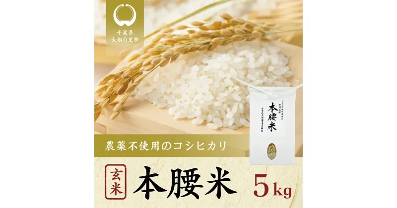 【ふるさと納税】【新米】令和6年産 本腰米5kg 玄米 千葉県産コシヒカリ 農薬不使用 お米 5kg 千葉県産 大網白里市 コシヒカリ 農薬不使用 米 玄米 こめ 送料無料 F005