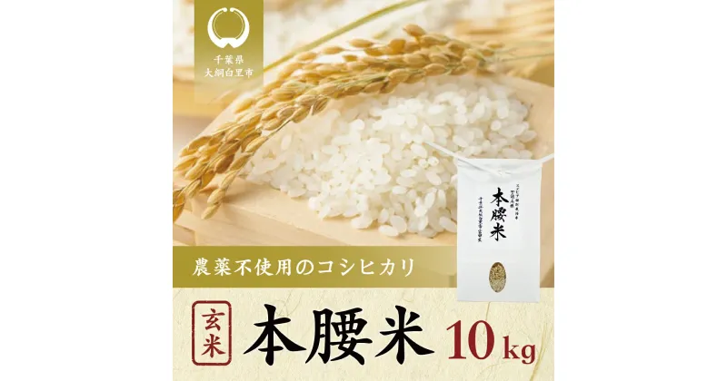 【ふるさと納税】【新米】令和6年産 本腰米10kg 玄米 千葉県産コシヒカリ 農薬不使用 お米 10kg 千葉県産 大網白里市 コシヒカリ 農薬不使用 米 玄米 こめ 送料無料 F006