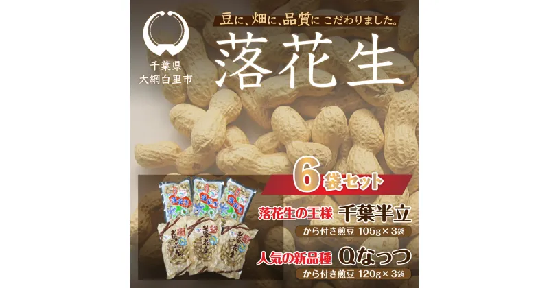 【ふるさと納税】千葉県 大網白里市産 落花生千葉半立、Qナッツさやつき煎り豆6袋セット 落花生 おつまみ 千葉県産 大網白里市 送料無料 I005