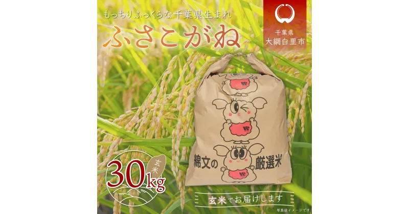 【ふるさと納税】【新米】令和6年産 千葉県産「ふさこがね」玄米30kg（30kg×1袋） ふるさと納税 玄米 30kg 千葉県産 大網白里市 ふさこがね 米 こめ 送料無料 A013